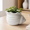 3D Printed Conch Flower Pot Moisture-Resistant Mini Planter with Wavy Edge And Drain