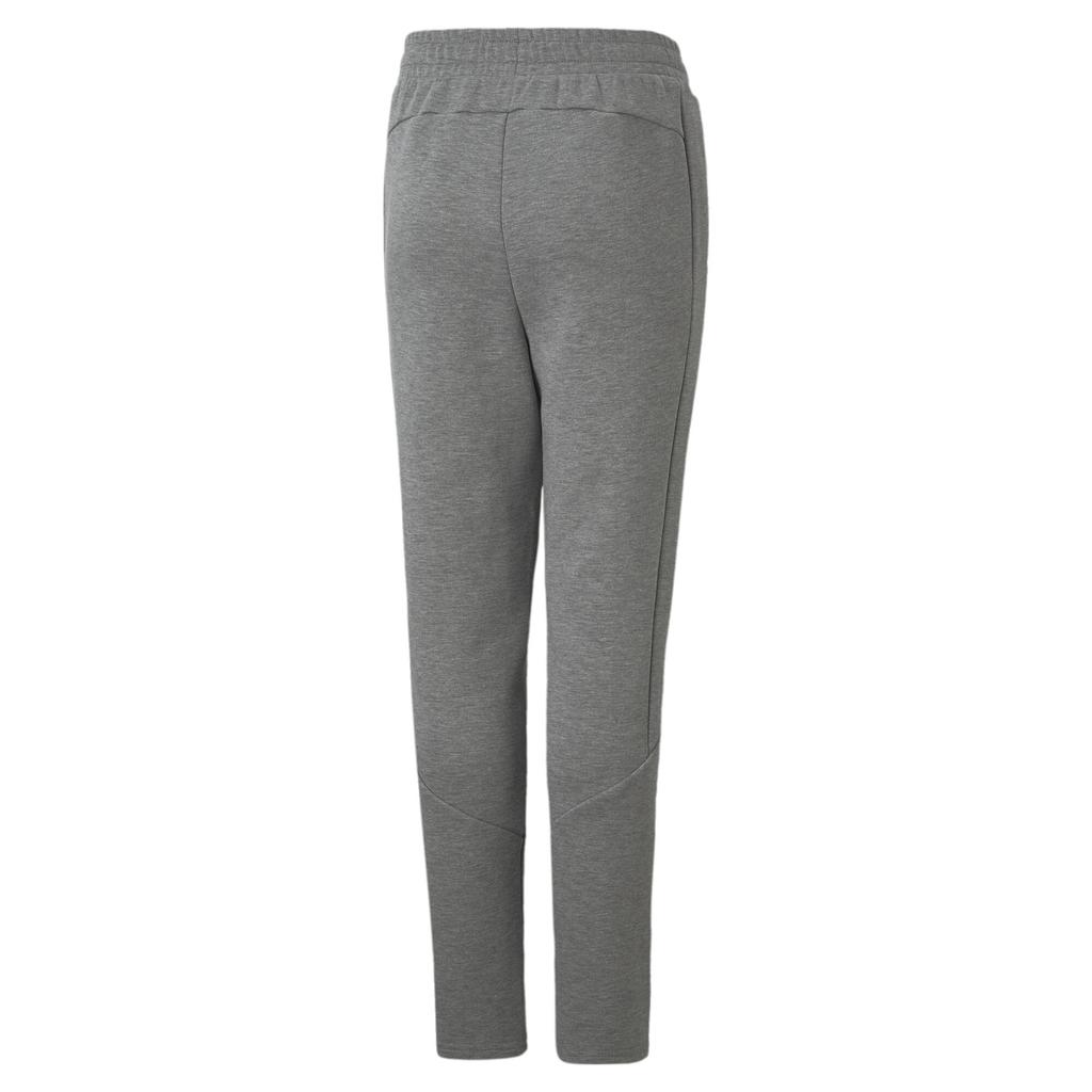 Puma EVOSTRIPE DK boys' sweatpants gray 84699103 size 164