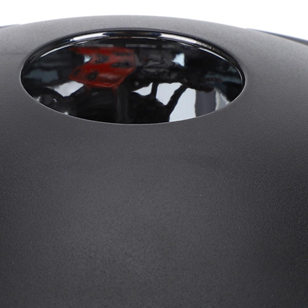 Bildprojektion 3D Mirascope 15cm Optische Täuschung Spielzeug Parabolspiegel Hologramm Schreibtischspielzeug