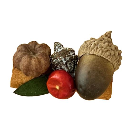 

Yousheng Dried Wood Fruit Refrigerator Magnet Handmade Rustic Natural Plants Pine Cone Decorative Fridge Magnet Photo Holder Home Office Short C