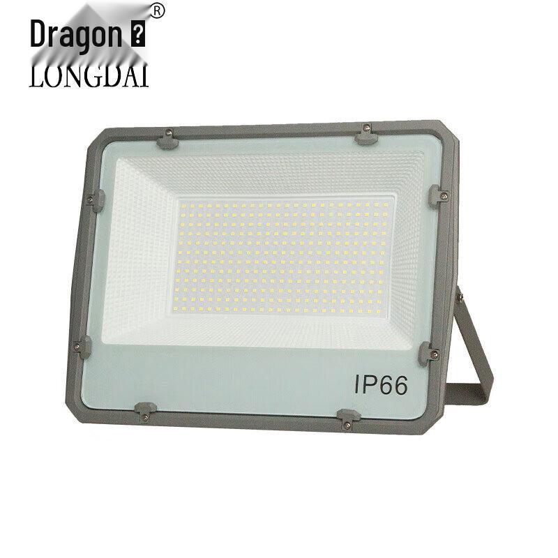 Longdai Outdoor Waterproof LED Floodlight
