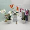 Two Realistic Branches Butterfly Orchid Green Plant Bonsai For Decor Indoor