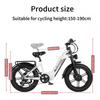 Nathaniel SYR08 City Commuting E-Bike, Doppelmotor 2000W, 20x4.0 Integriertes Rad, 48V20AH, Geschwindigkeit 50+, Schnee/Sand Outdoor-Fahrrad