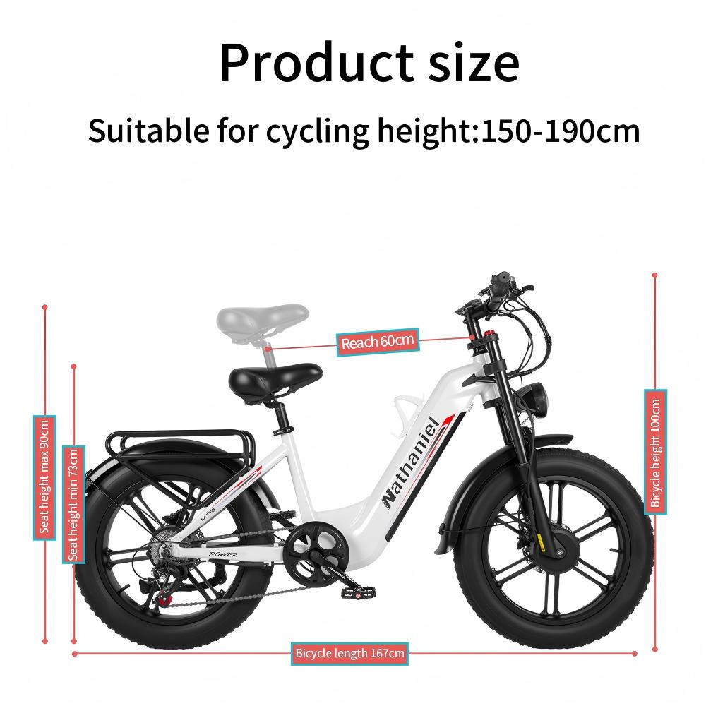 Nathaniel SYR08 City Commuting E-Bike, Doppelmotor 2000W, 20x4.0 Integriertes Rad, 48V20AH, Geschwindigkeit 50+, Schnee/Sand Outdoor-Fahrrad