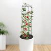 Metal Garden Trellis for Climbing Plants Indoor/Outdoor Sturdy Plant Trellis for Potted Plant Trellis Support Frame Garden Decor