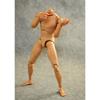No Brand 1/6 Scale Male Action Figure Body