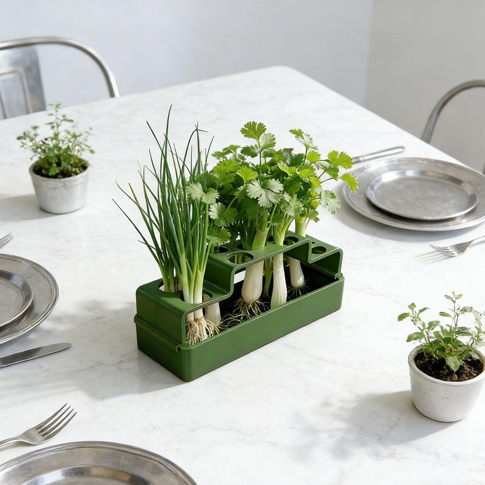 Ventilated Chives Seedling Tray Lettuce Soilless Cultivation Pot Water Cultivation Box Hydroponic