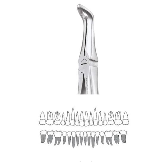 

GDC Extraction Forceps Lower Roots - 45 Standard (Fx45s)