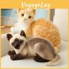 Cat Toys Plush Stuffed Dolls Siamese Cats Home Decoration Kids Gift Cartoon