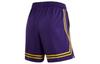 Nike Casual Shorts Women's All over Purple DR2369-504