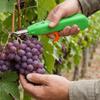 Handheld Berry Picking Tool Ergonomic Thorn-Proof Fruit Harvesting Shears Heavy-Duty Anti-Scratch Pruning Cutter Gardening
