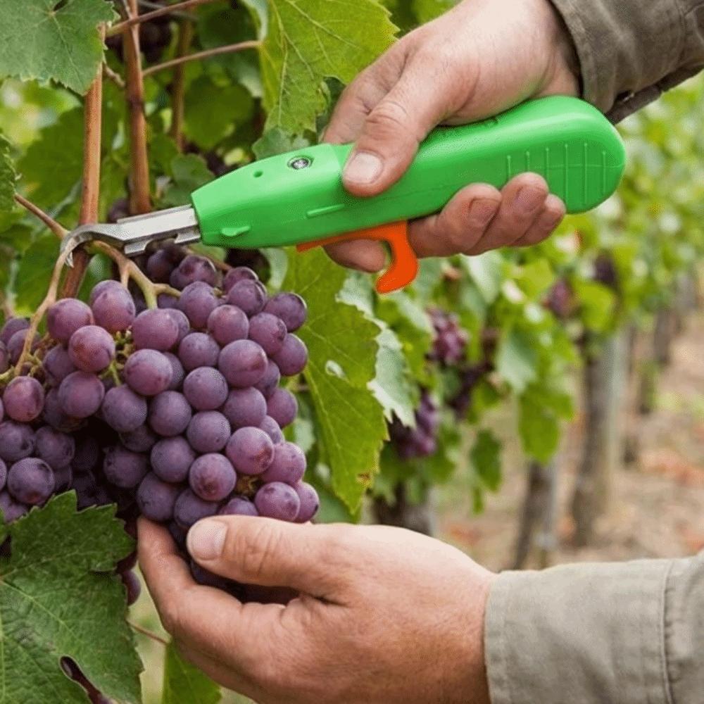 Handheld Berry Picking Tool Ergonomic Thorn-Proof Fruit Harvesting Shears Heavy-Duty Anti-Scratch Pruning Cutter Gardening