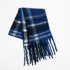 New Mohair Plaid Scarf Women's Autumn and Winter Thickened Warm Student Versatile Fringed Scarf Tide