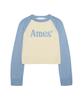 AMES-WORLDWIDE Basic Raglan Pullover Knit Light Blue
