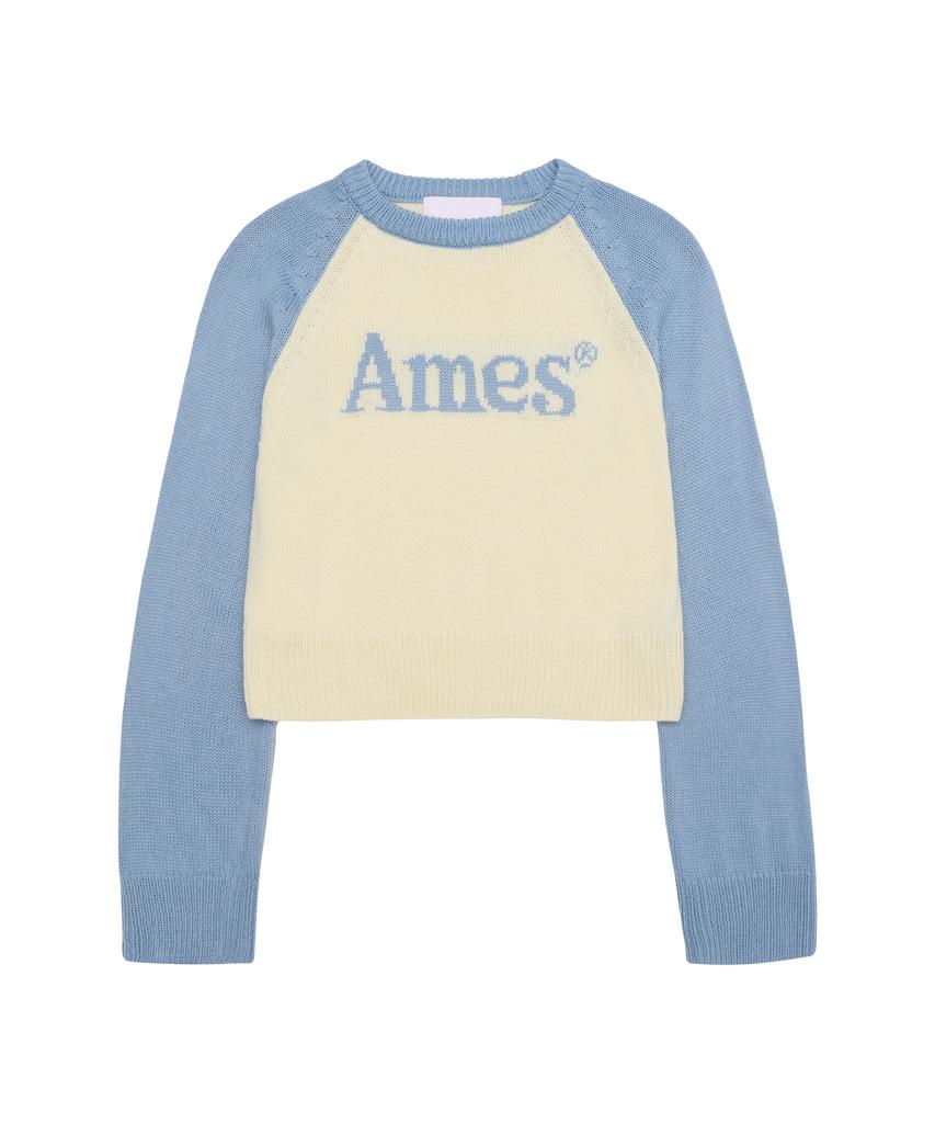 AMES-WORLDWIDE Basic Raglan Pullover Knit Light Blue