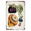 Poster Retro cu plante de legume Fructe de epocă Placă de tablă metalică Semn de artă de perete de conopidă Grădină Bucătărie Fermă Flori farfurie Decor
