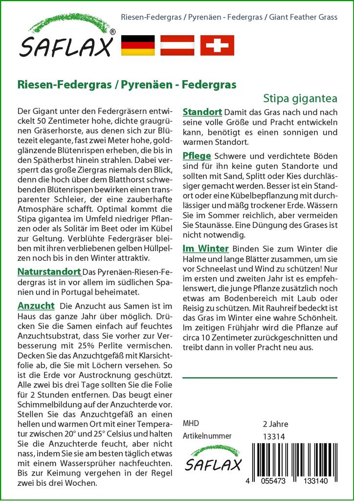 SAFLAX Zahrada v pytli - Obří péřová tráva - 10 semen - Se substrátem v padnoucím sáčku - Stipa gigantea