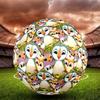 Puffin Rock Theme Size 5 Soccer Ball, Suitable for Both Indoor and Outdoor Matches, a Gift Suitable for Everyone.