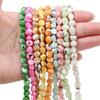 55Pcs Natural Colored Horseshoe Snail Irregular Leather Small Stone Beads For DIY Necklace Bracelet Earrings Jewelry Making