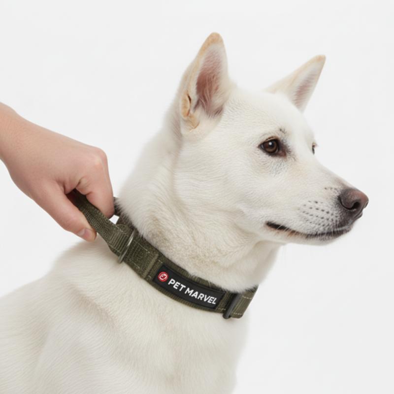 Alloy Buckle Handle Leash (Green M) Green M (NPFCS003-GR-M)