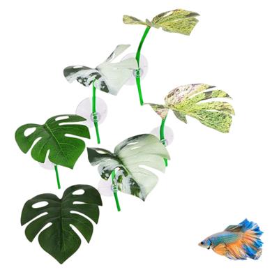 Peces y mascotas acuáticas – Decoración de peceras