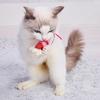 Petio Wild Mouse Squeaky Shrimp Cat Toy with Catnip