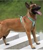 SMALL COMBINATION Pet Reflective Nylon Dog Harness No Pull Vest Soft Adjustable Medium And Large Dog outdoor Walking Running