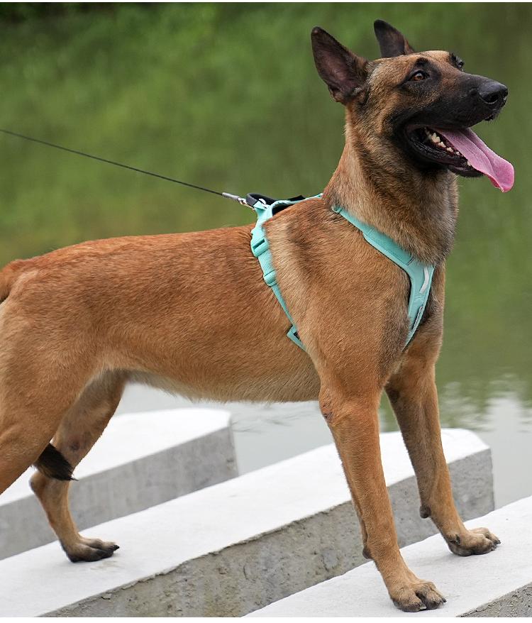SMALL COMBINATION Pet Reflective Nylon Dog Harness No Pull Vest Soft Adjustable Medium And Large Dog outdoor Walking Running