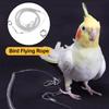 3M/5M Papagei Vogel Flugtraining Leine Ultraleicht Flexible Seil Anti-Biss mit Beinring Geschirr Vogel Trainingsseil Outdoor