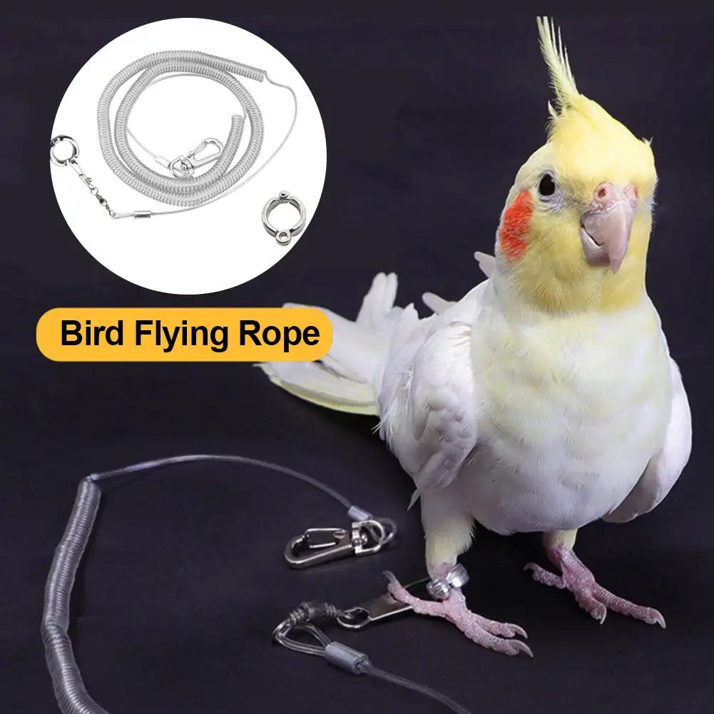 3M/5M Papagei Vogel Flugtraining Leine Ultraleicht Flexible Seil Anti-Biss mit Beinring Geschirr Vogel Trainingsseil Outdoor