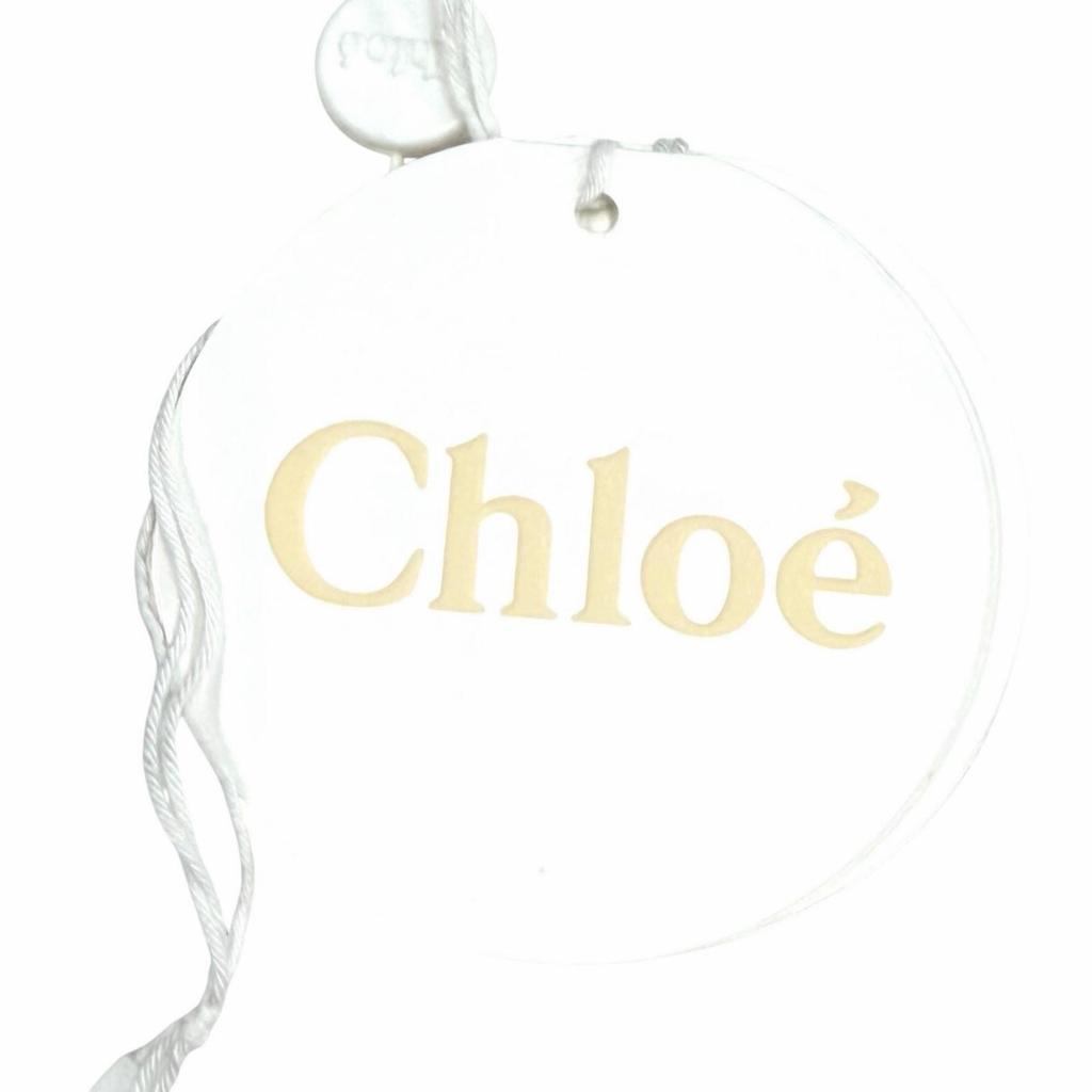 Excellent Chloe Shoulder Bag WODDY Small Basket CHC22Stainless Steel381G55101 Used