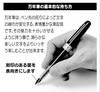Platinum Fountain Pen Plaisir Medium Blue