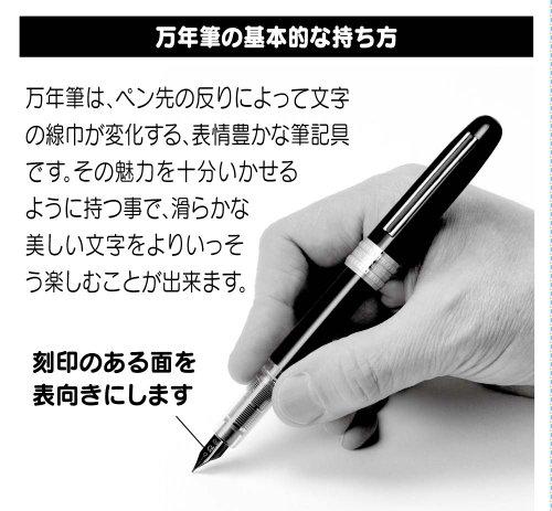 Platinum Fountain Pen Plaisir Medium Blue
