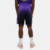 New Nike Los Angeles Lakers 2024/25 City Edition Men's Nike Dri FIT Nba Swingman Shorts FQ4410-504