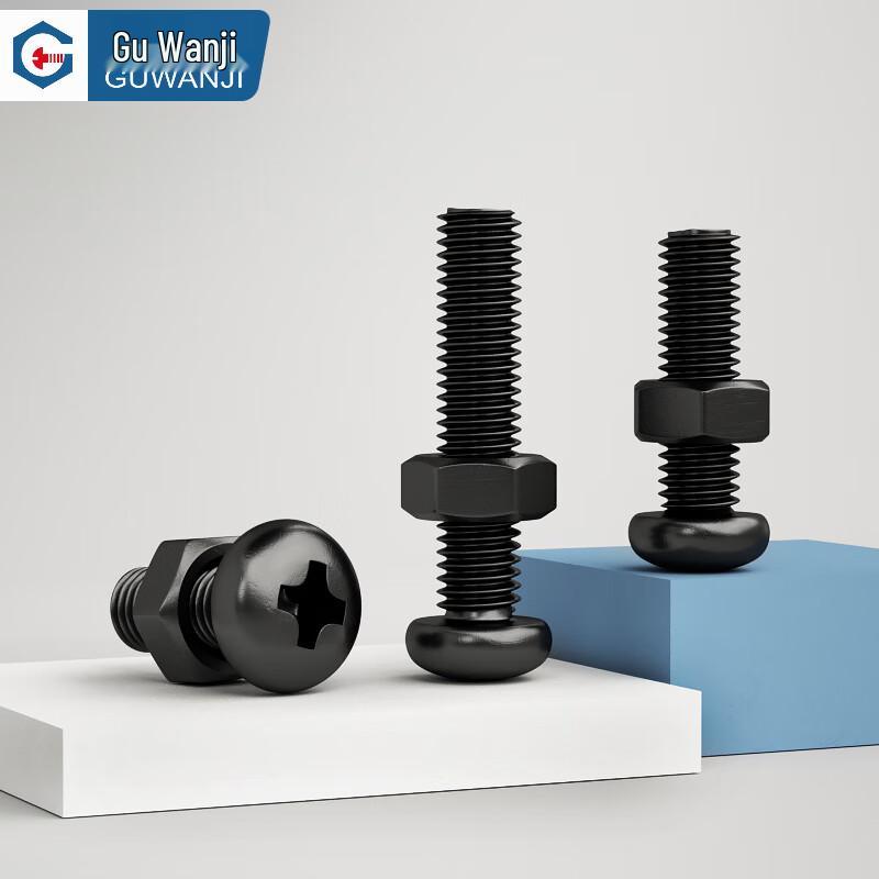 GUWANJI Cross Recessed Pan Head Screw and Hex Nut Kit