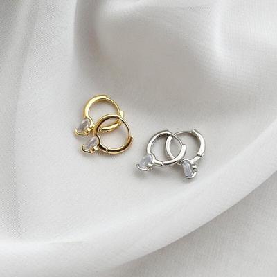 Diverge Minimal Mini Ring Cubic Earrings Clean Drop Women