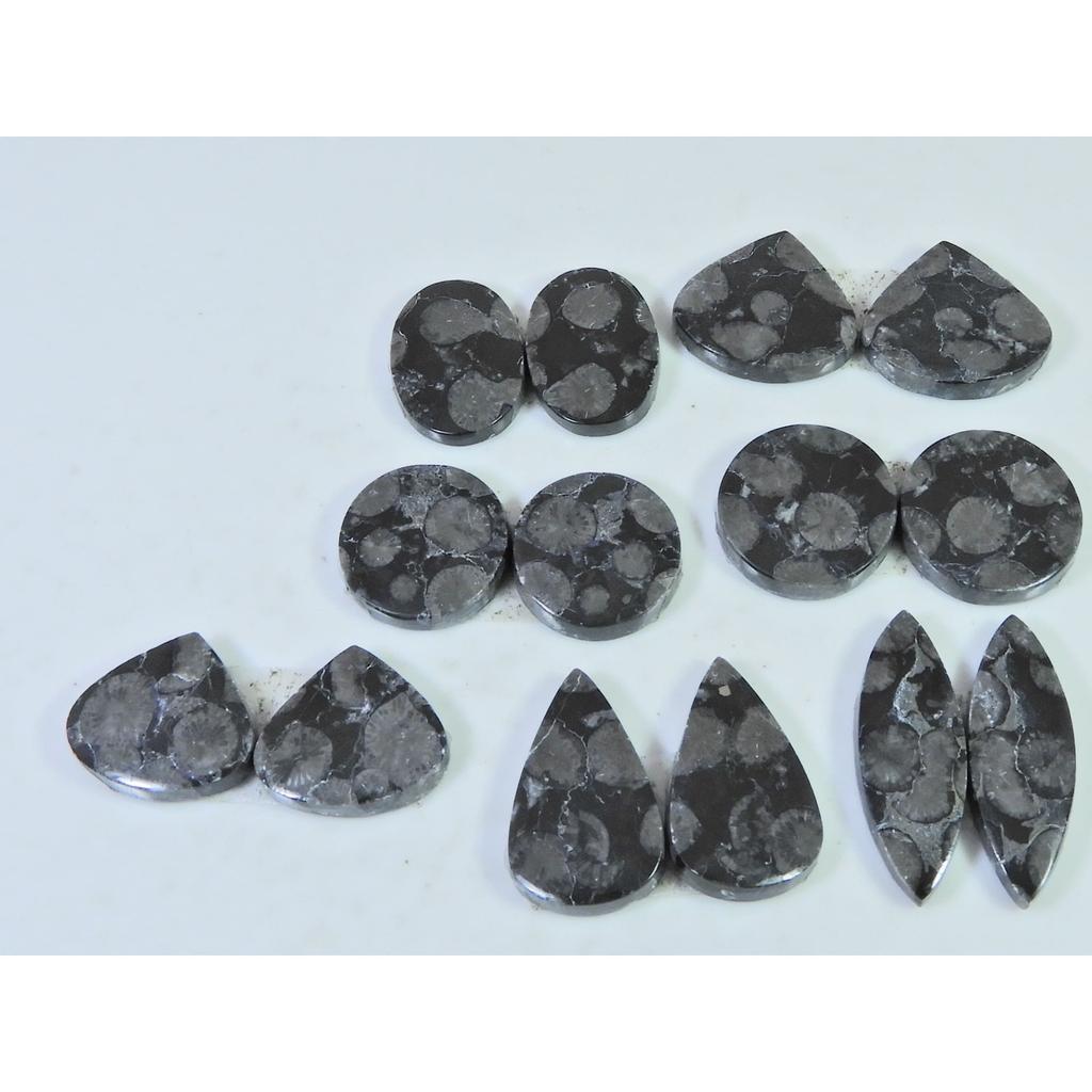 Natural Black Fossil Coral Matched Pair Mix Cabachon Gemstone 07 Pair Lot C-2678