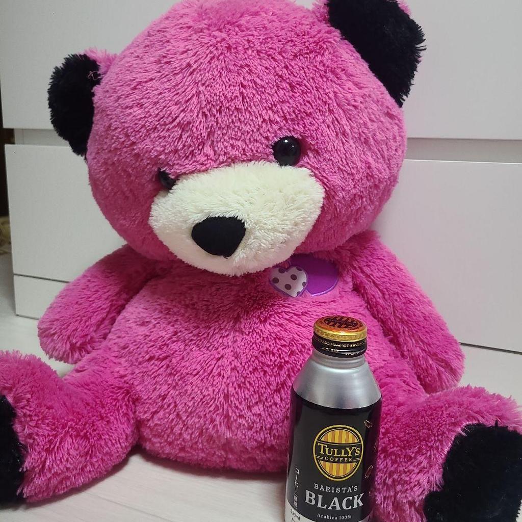 [USED] Teddy Bear Plush Toy