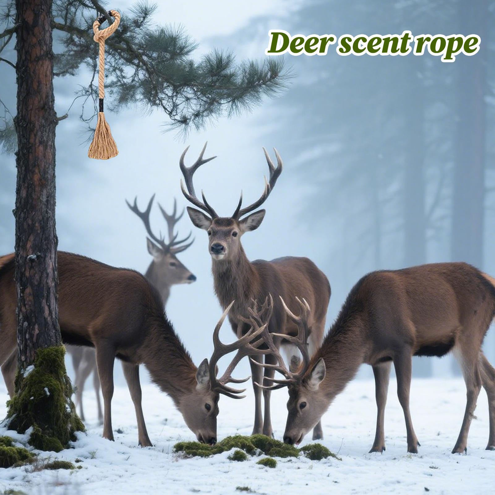 

Deer Scent Rope Long-Lasting Effective Attractant Effective Whitetail Attractant For Trail Outdoor Camping Wildlife Woods Hiking China Mainland