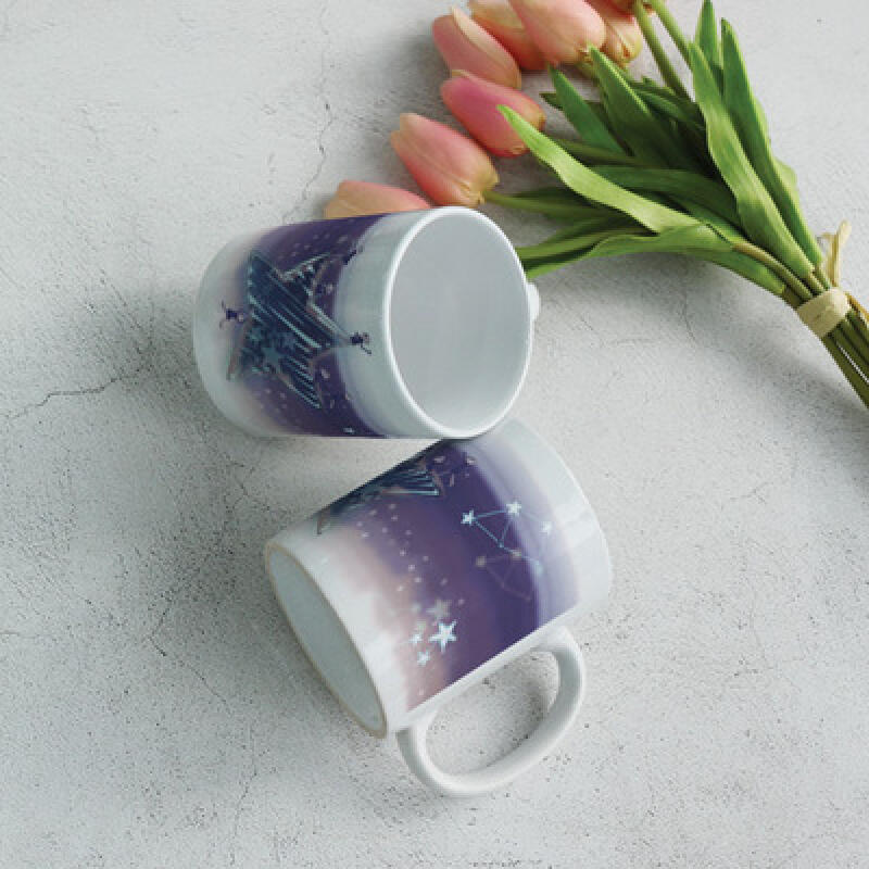 cb690-Design Mug 2p-Built-in Star