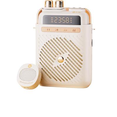 Soaiy S5 Wireless Portable Voice Amplifier with Microphone CN Plug (adapter Included)