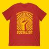 Friendly Neighborhood Socialist T-Shirt | Funny Socialism Shirt & Original Propaganda Style Funny Socialism Communism Gift