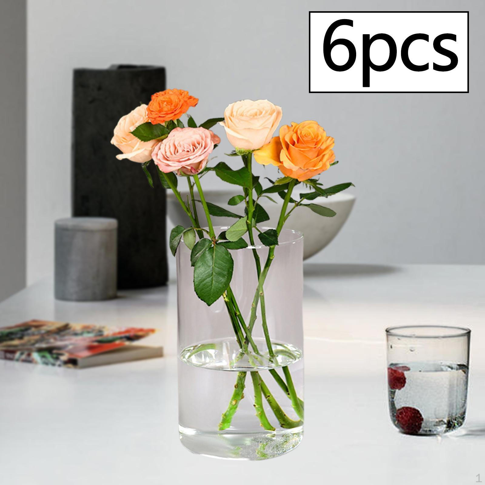 

Cylinder Vases for Floral Arrangements And Candle Displays Home 6 Pieces