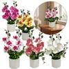 Multicolor Butterfly Orchid Artificial Flower Plastic Faux Moth Orchid Potted  Desktop Oranemnt