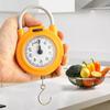 Handheld Scale High Accuracy Portable Kitchen Spring Scale 22lb Load Capacity Small Food Weighing Scale for Household