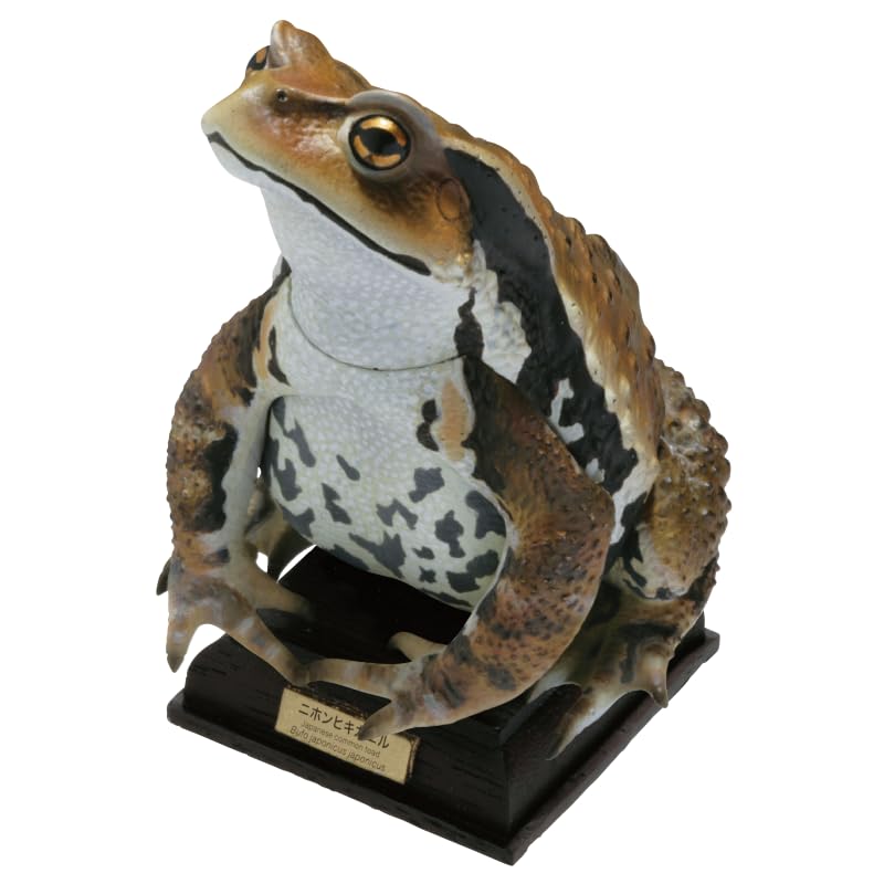 Nature Technicolor Japanese Frogs Special Edition Japanese Toad Gacha Capsule Toy