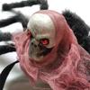 Spider and Skull Costume for Small to Medium Pets