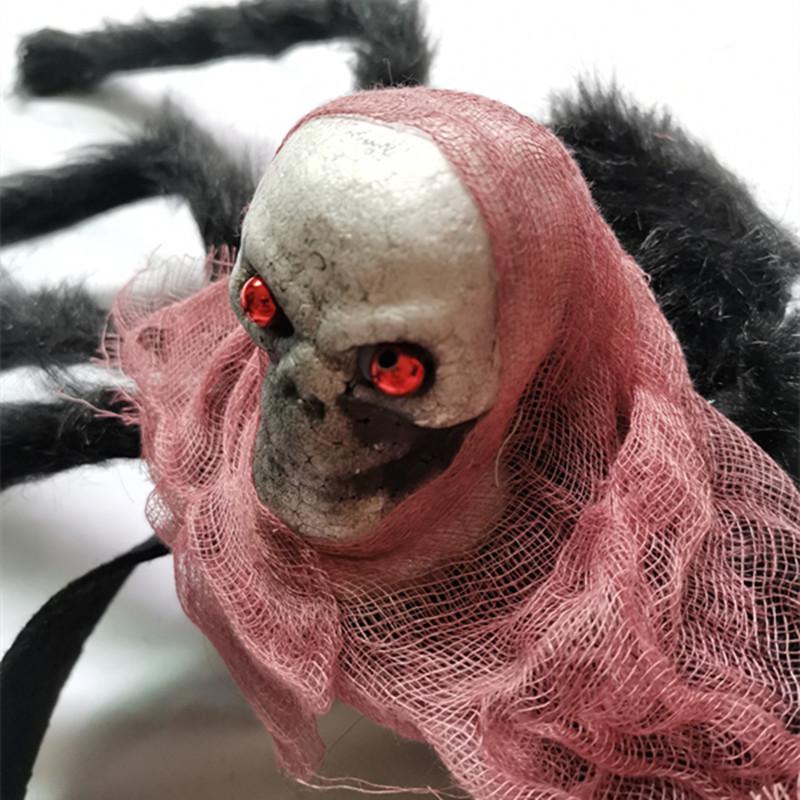 Spider and Skull Costume for Small to Medium Pets