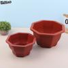 1PCS Hexagonal Plastic Flowerpot Reusable Bonsai Special Green Plant Classical Indoor Garden Decor Succulent Plants Planting
