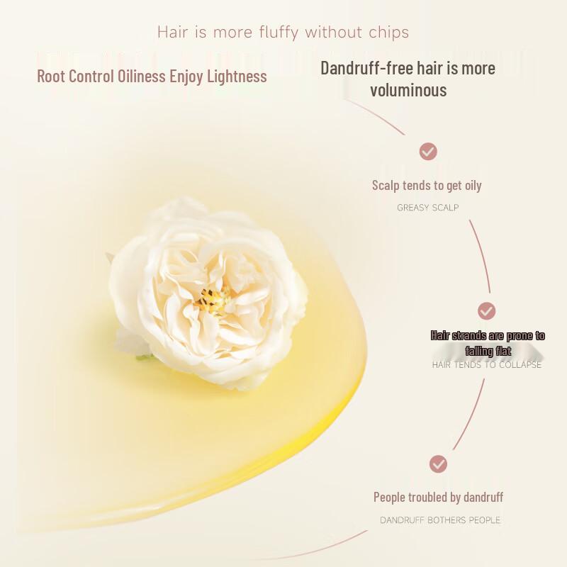 An An Jinchun Camellia Oil Control Anti-Dandruff Shampoo